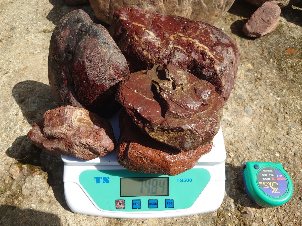 赤石 13石 24kg 京都産 庭石 日本庭園 観賞石 水石(植木、庭木)｜売買