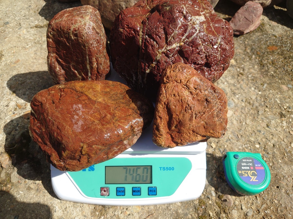 赤石 13石 24kg 京都産 庭石 日本庭園 観賞石 水石(植木、庭木)｜売買
