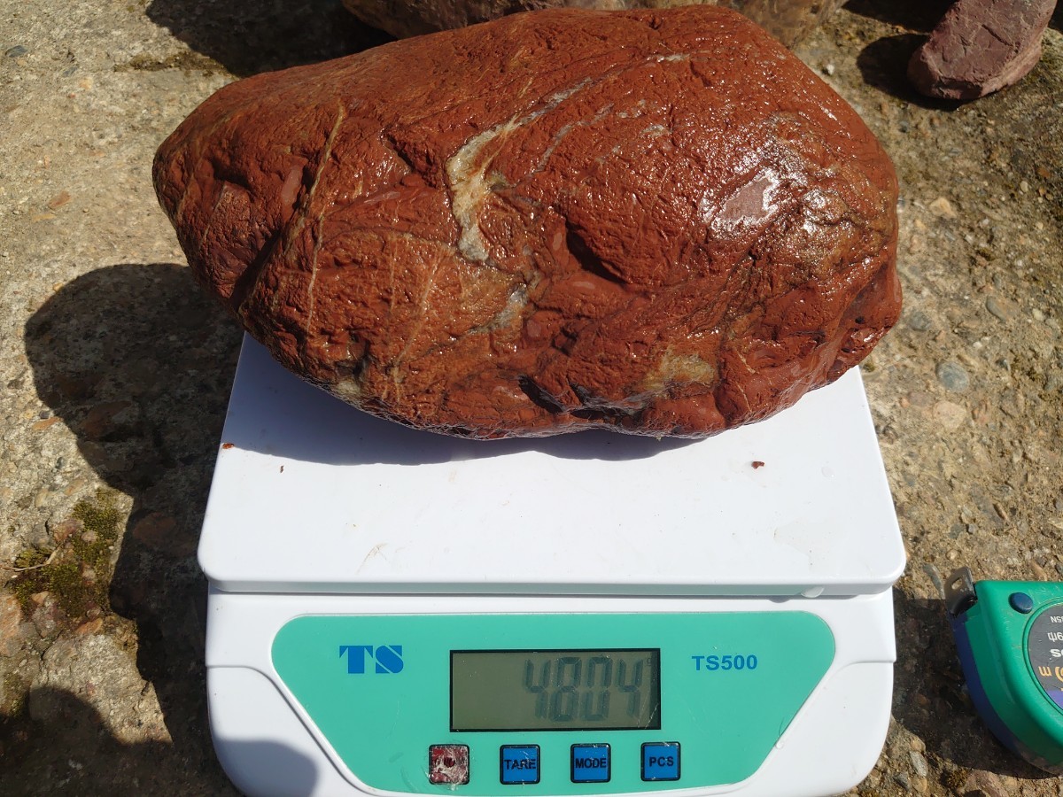 赤石 13石 24kg 京都産 庭石 日本庭園 観賞石 水石(植木、庭木)｜売買