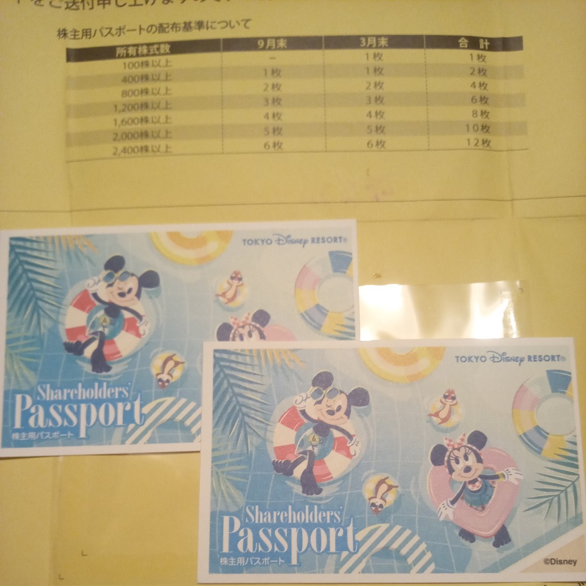 株主優待 東京ディズニーランド・ディズニーシ(リゾート)　2枚1組