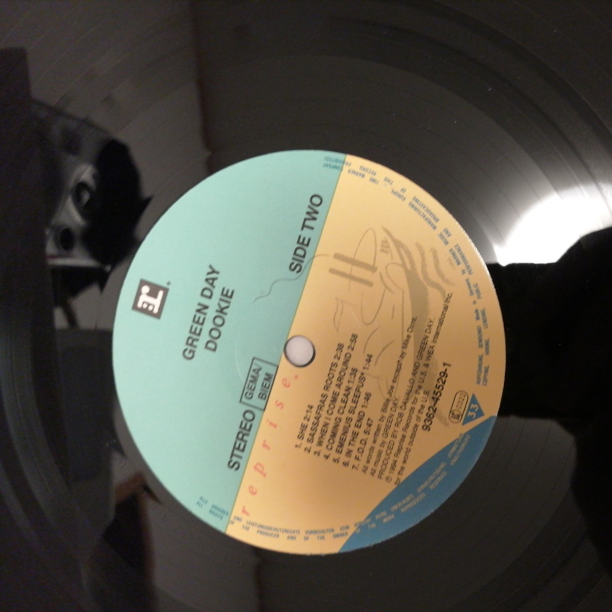 Dookie record グリーンデイ ドゥーキー レコード Green Day Dookie