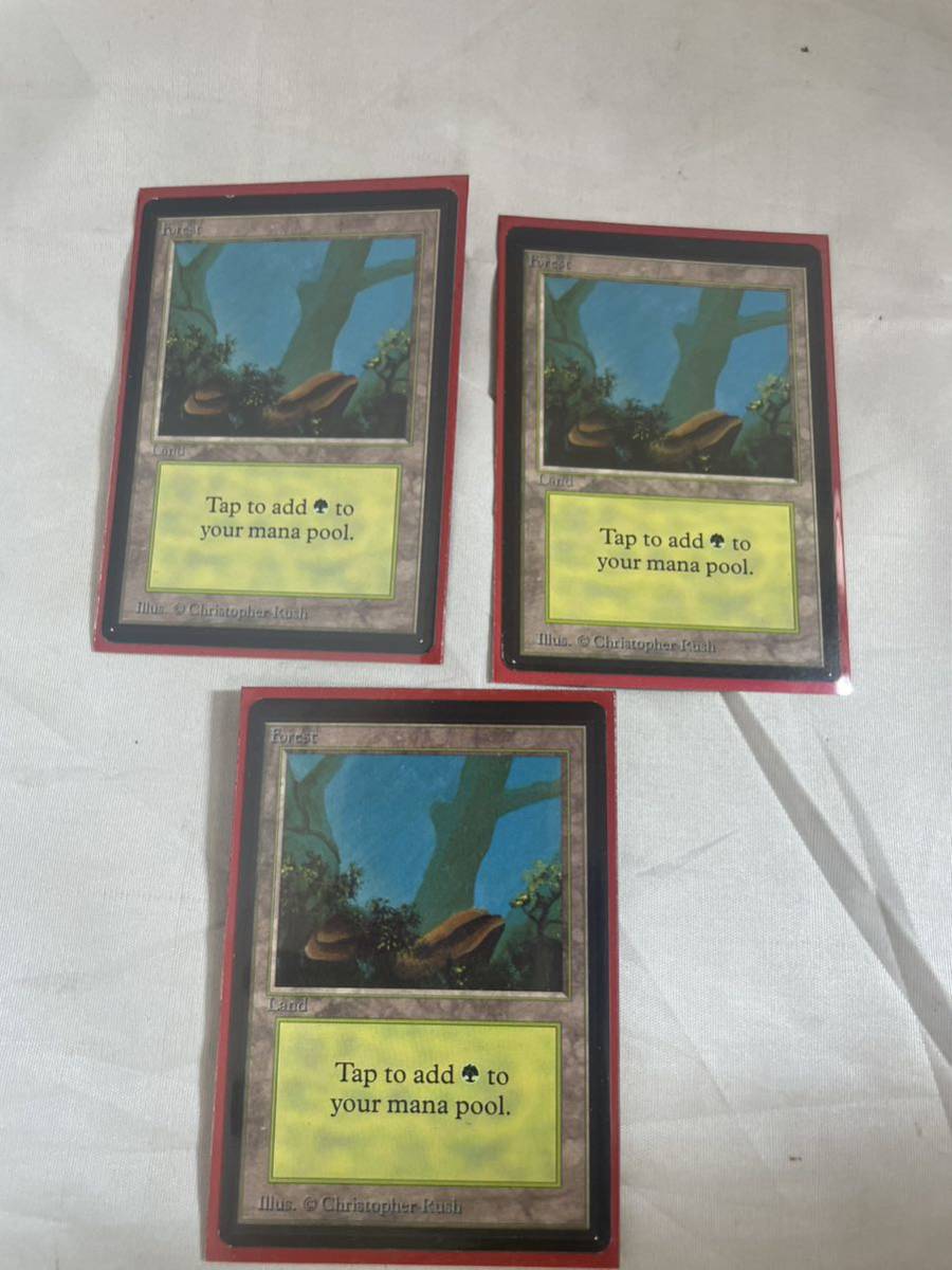 森 / Forest MTG · 森 The (PMPS06) (NEO) (272)《森⁄Forest》[ORI]