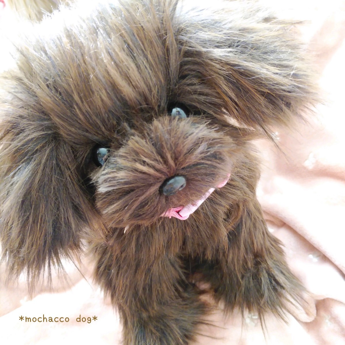 mochacco dog* マルプー (ブラウンS) ぬいぐるみわんこ プードル