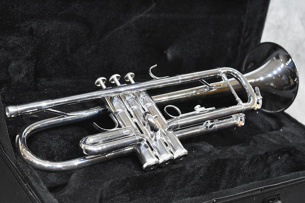MAXTONE サックス By French Engineer彫刻入り 管楽器 Maxtone