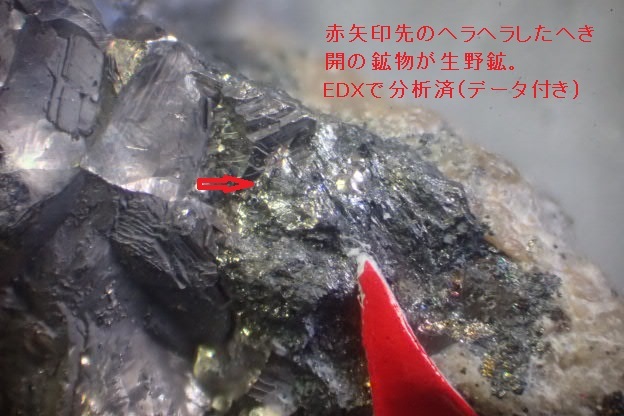 ★【月曜終了】国産　新鉱物　兵庫県生野鉱山の生野鉱と自然蒼鉛（分析データ付き！！意外に珍しい原産地標本！！）★