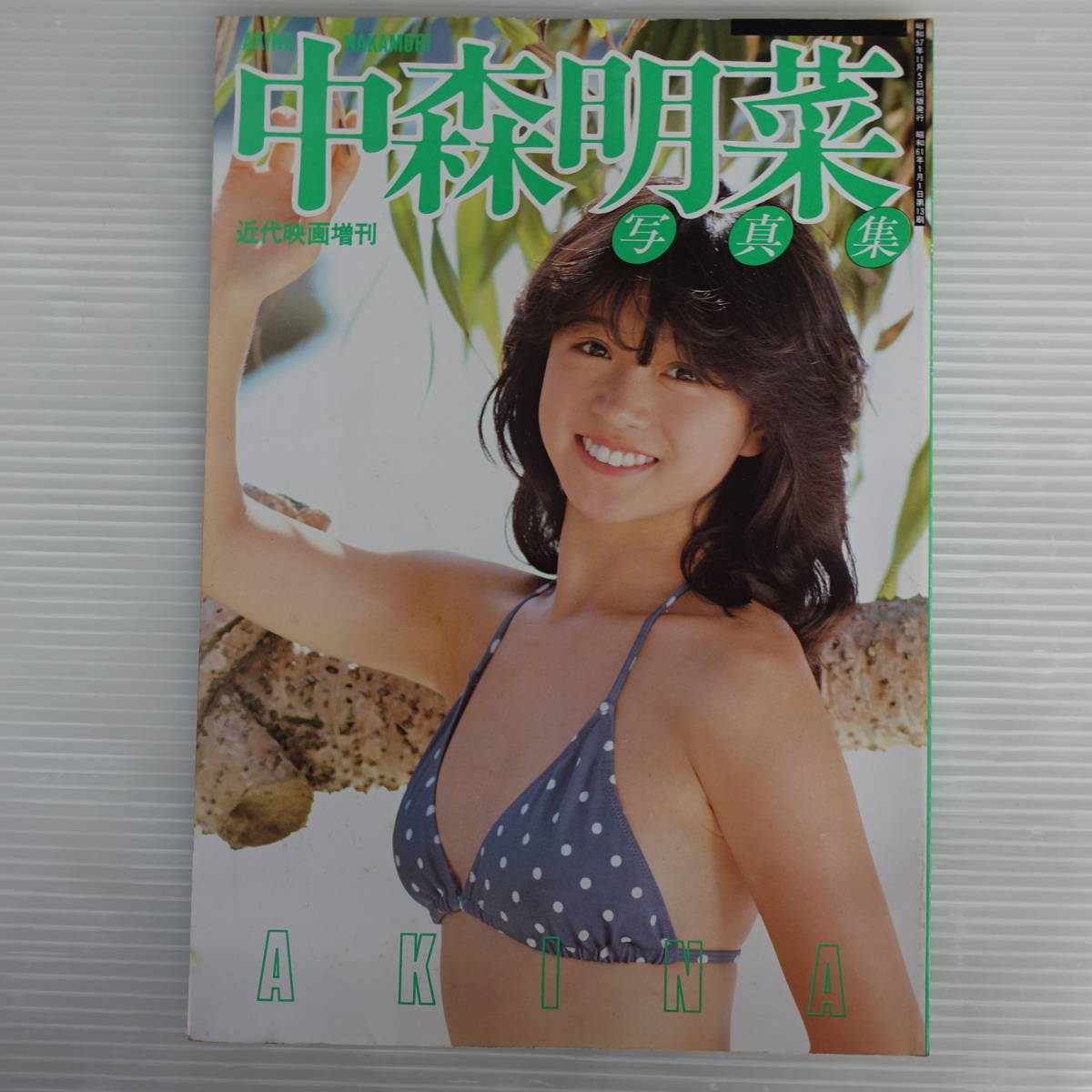 4677中森明菜写真集 近代映画増刊 水着 昭和57年(タレントグッズ