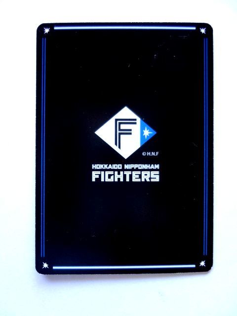 レア【非売品】讃岐花笑 ＆ 鈴木穂乃花 ファイターズガール 直筆 