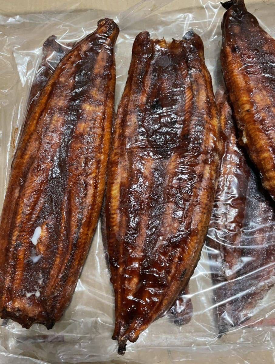 特大鰻］［国産うなぎ］［特大6尾］愛知県 三河一色産 鰻 炭焼き 送料