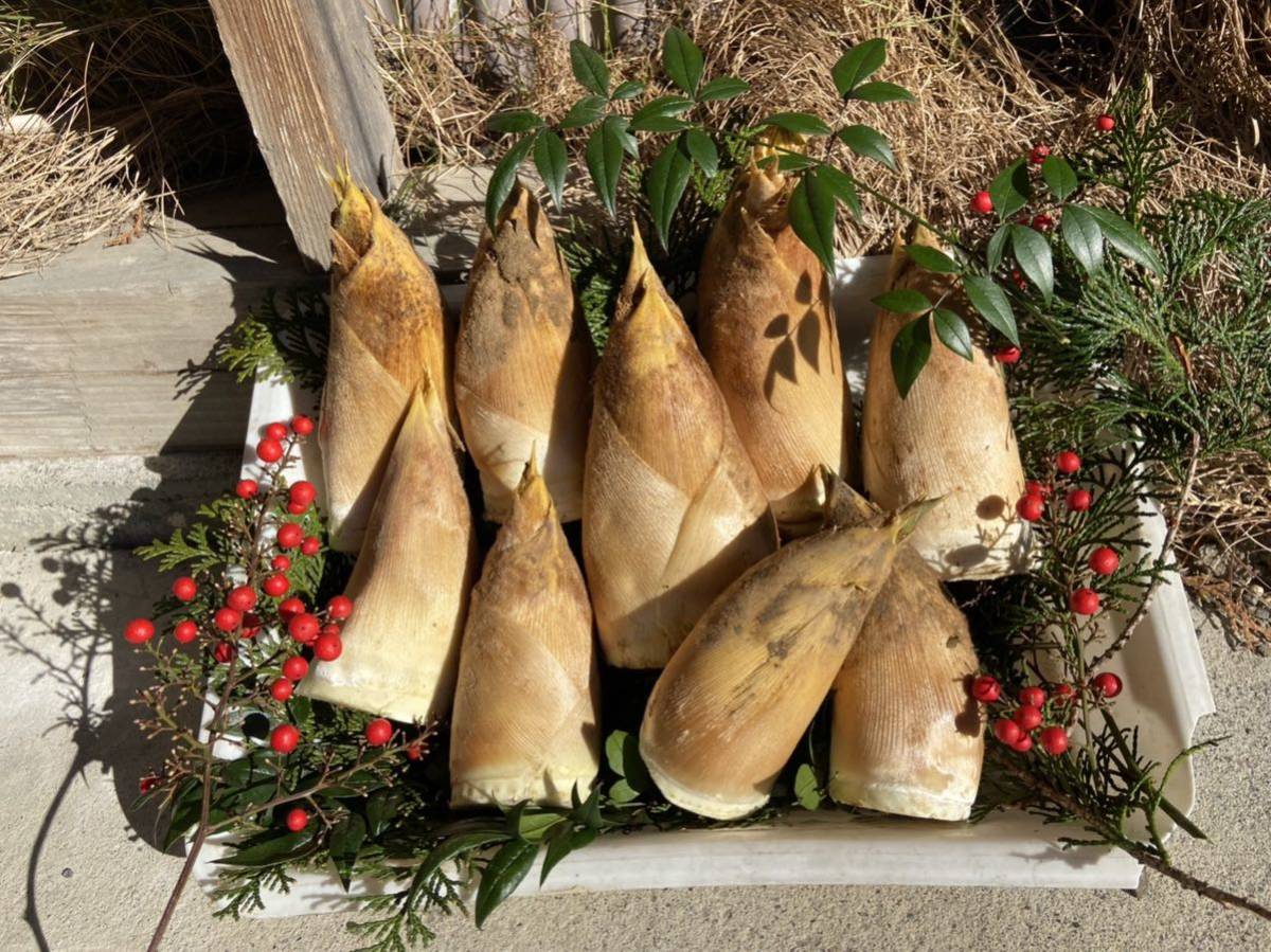 たけのこ 静岡県産　3キロ　米ぬかつき