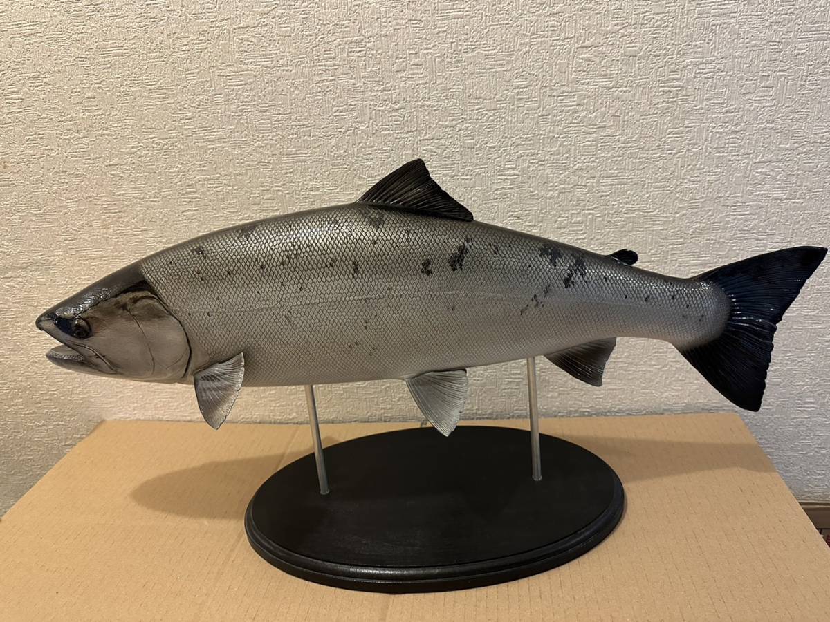 ハンドメイド 64cmサクラマス壁掛け 桜鱒 フィギュア レプリカ 釣り