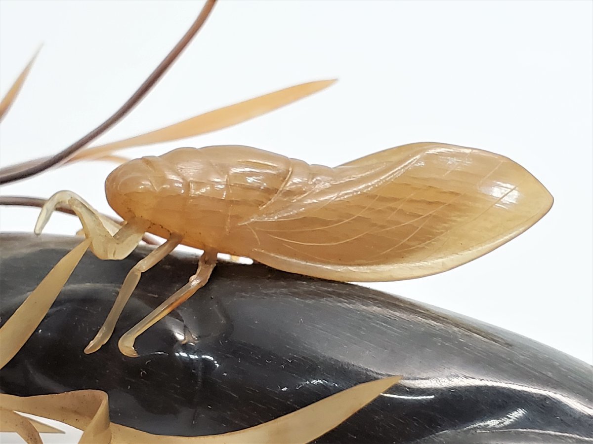 水牛角のオブジェ 2025年最新Yahoo!オークション -水牛の角(彫刻