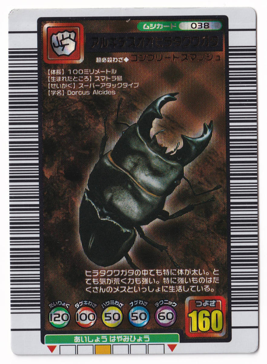 アルキデスオオヒラタクワガタ 038 キラ ムシカード☆甲虫王者