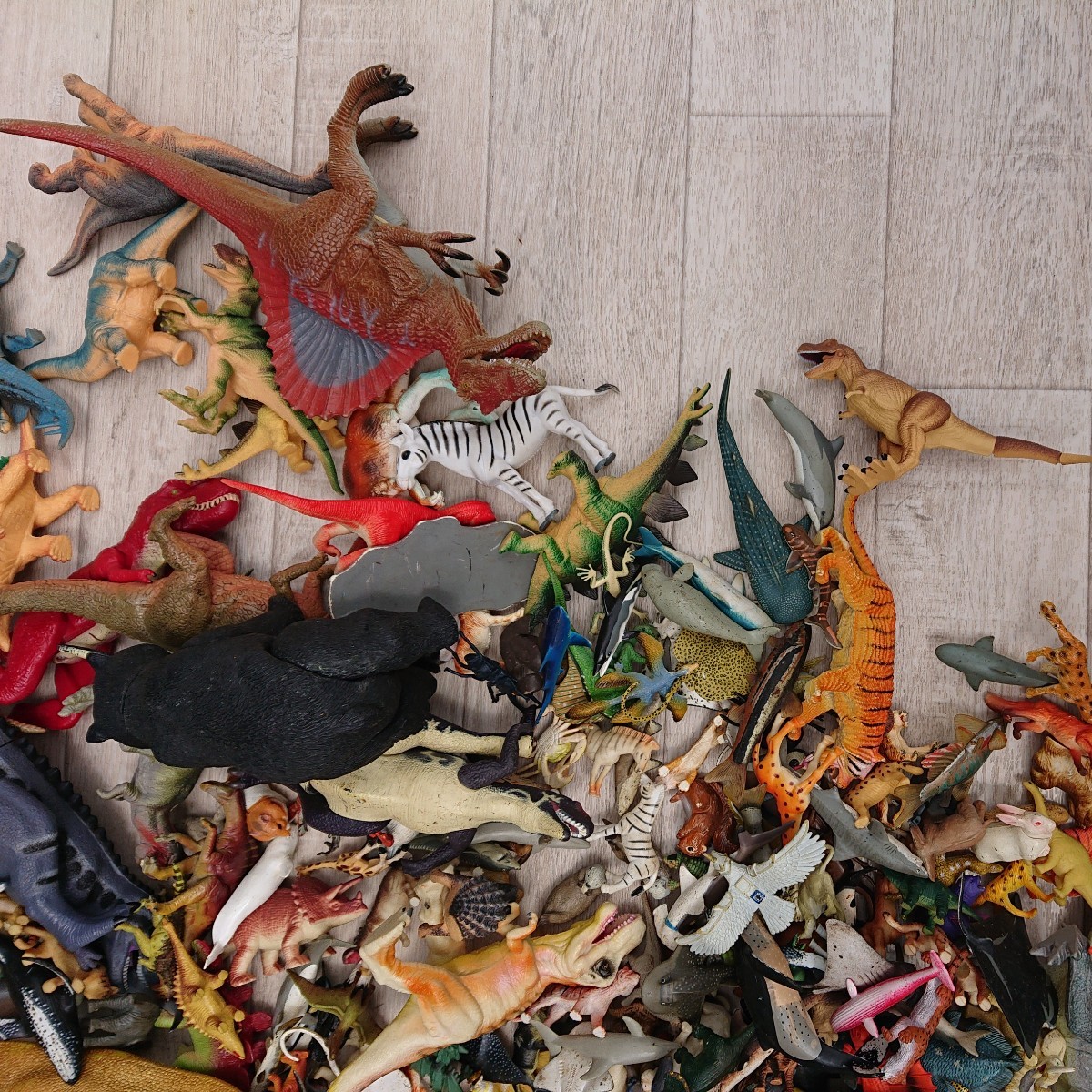 超お得アニア 恐竜 動物 昆虫 その他合わせて71体まとめ売り