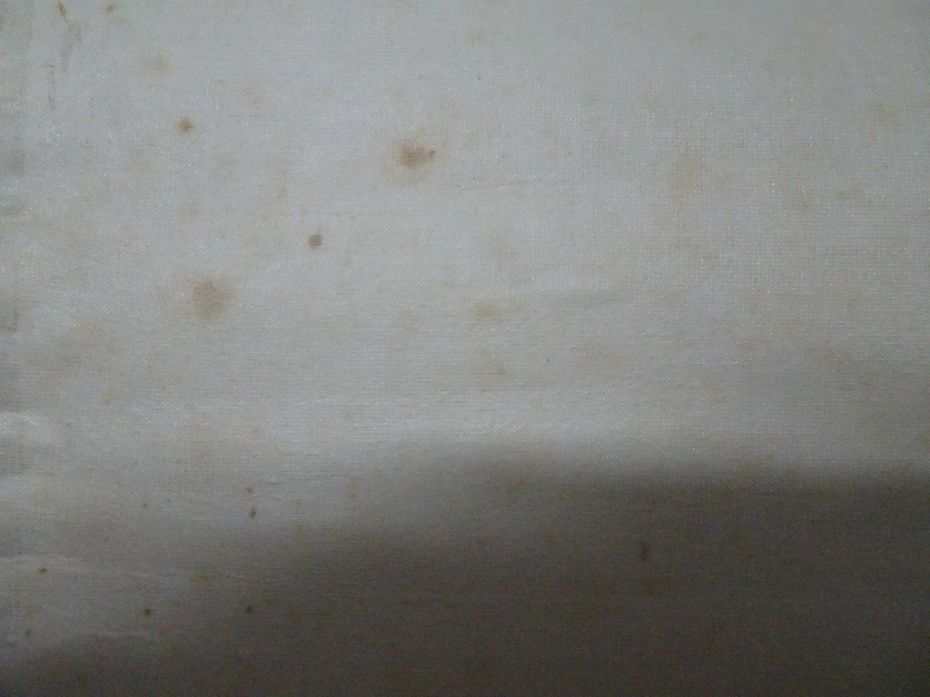 BFW33☆掛け軸 青蘭彩色画 日本画 中国画 紙箱付 (掛軸)｜売買された