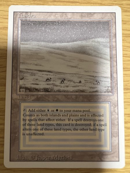 Tundra》[3ED] 英3 3ED MTG Tundra Revised Edition tundra⁄デュアラン