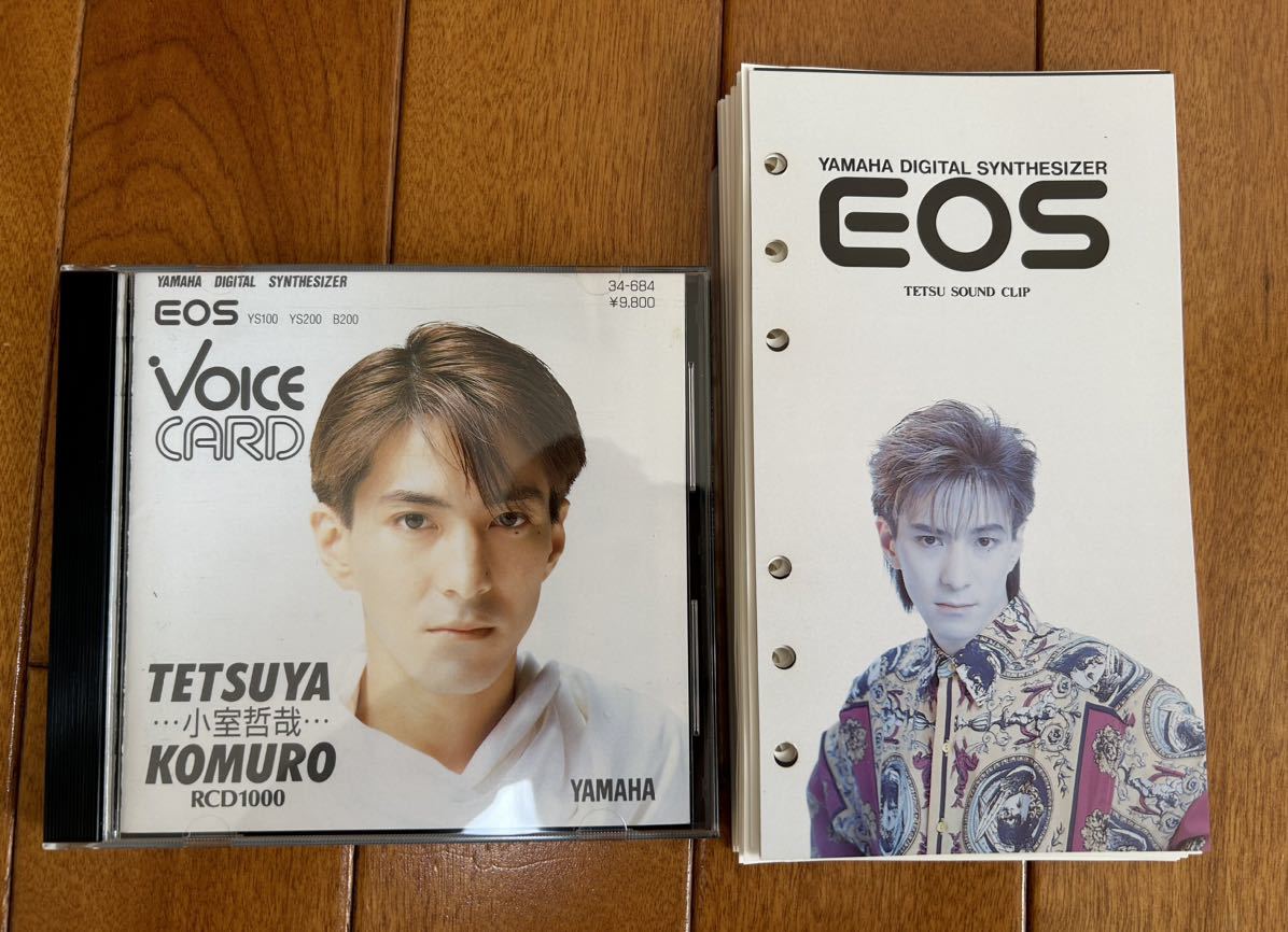 YAMAHA EOS 小室哲哉　VOICCARD RCD1000 / YS100 YS200 B200 用　/ 購入時特典付_1