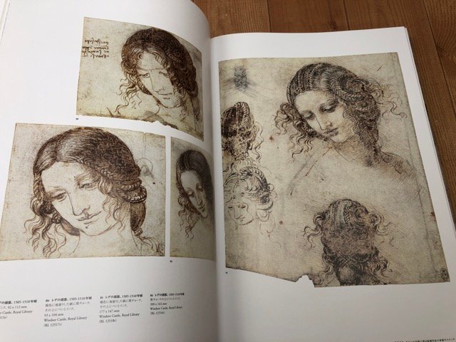 本 y*i様 Leonardo da Vinci 全絵画作品集