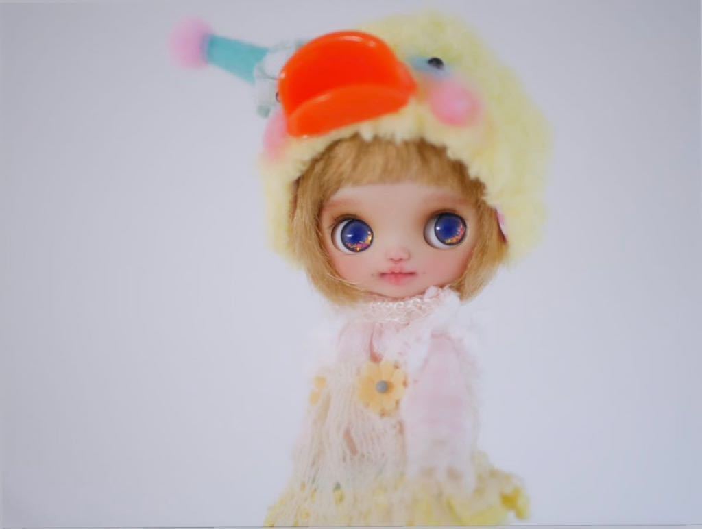 RaindropDoll*～customBlythe～カスタムプチブライス～(カスタム  