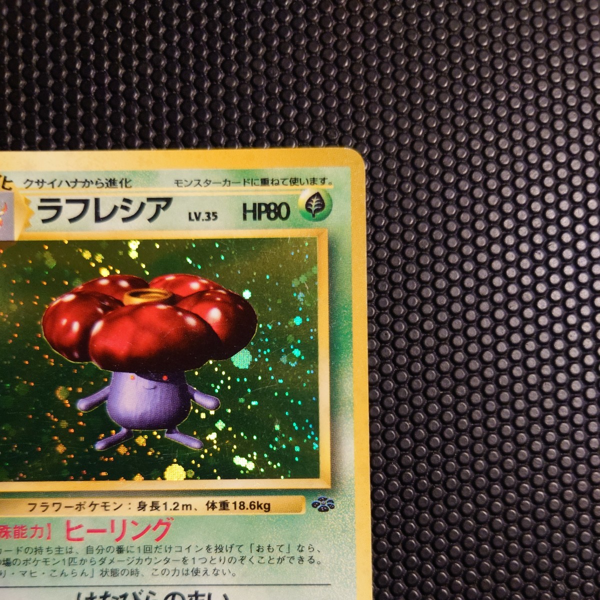 ラフレシア ポケモンカード PMCG 第2弾拡張パック ポケモンジャングル 