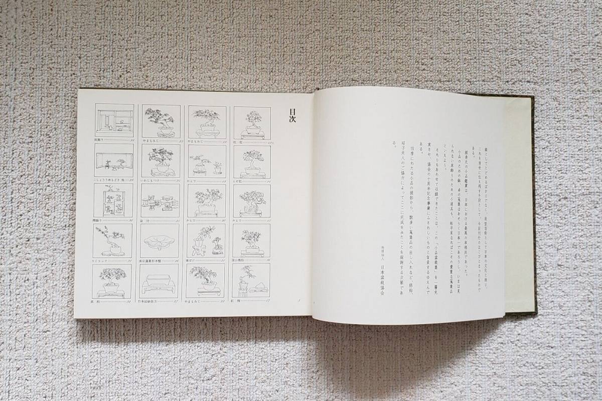 松平家に生きる珠玉の名品 小品盆栽 財団法人 日本盆栽協会編 【公式通販】