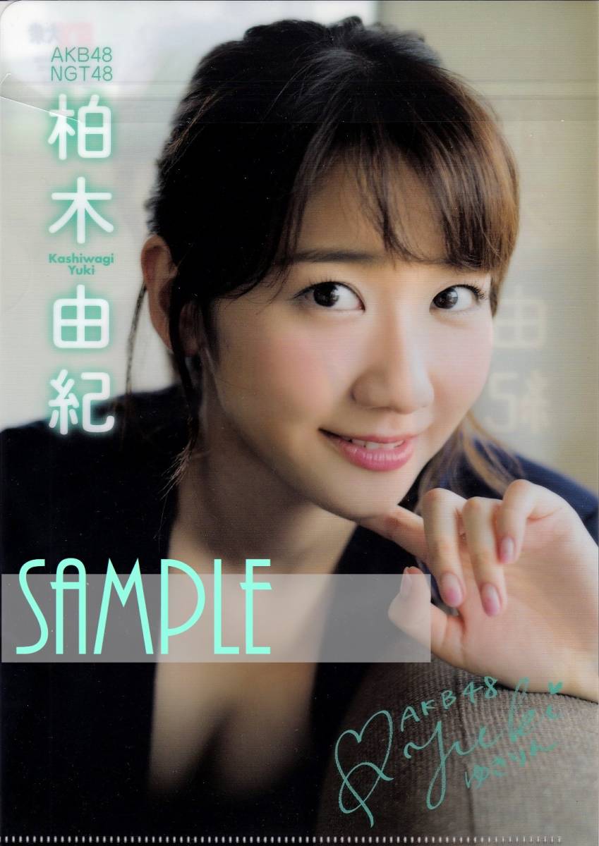 EX大衆 2015年10月号 特別付録 AKB48 NGT48 柏木由紀 クリアファイル