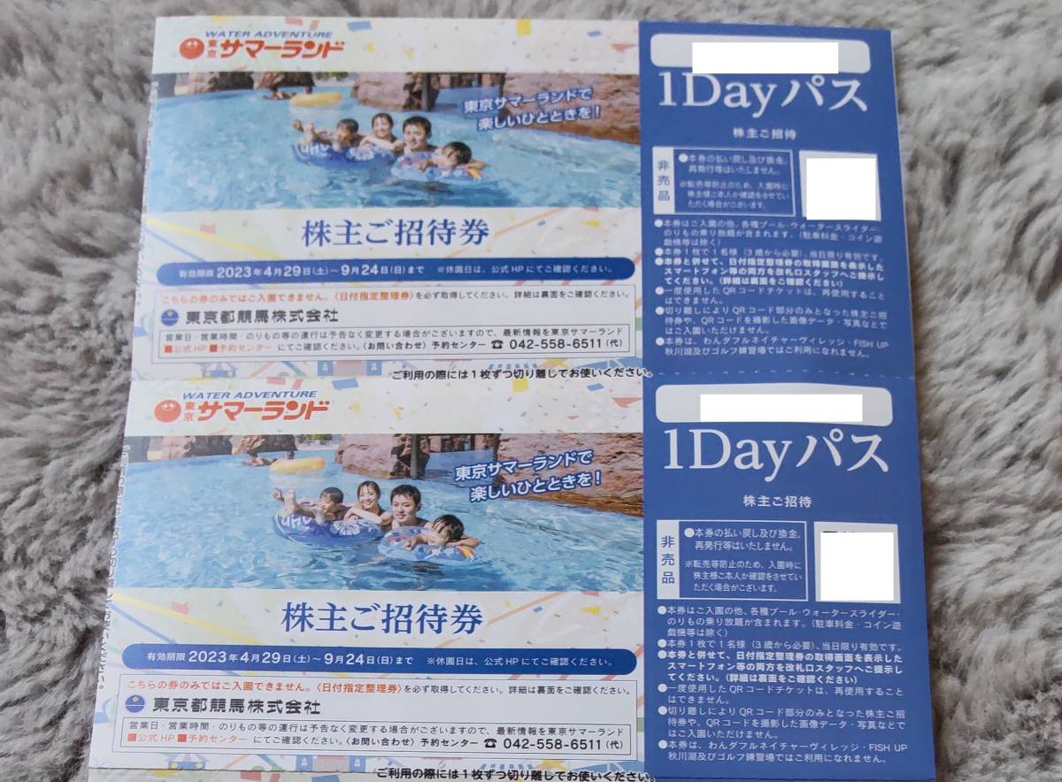 東京サマーランド☆夏休みOK☆株主招待券2枚セット☆送料込 