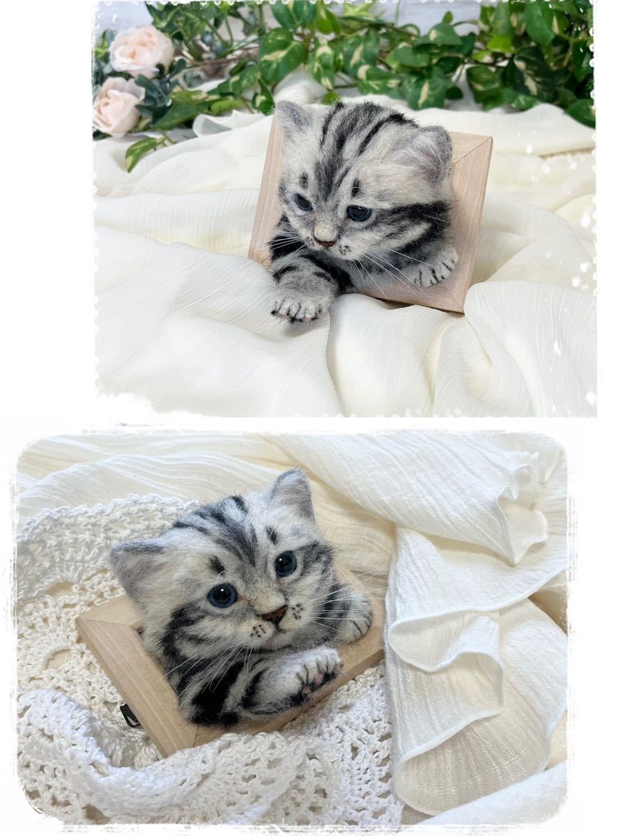 羊毛フェルト meiya ベビーにゃんこの立体ポートレート - 猫 リアル