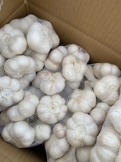 青森県にんにく10Kg L お買得品 青森県にんにく10Kg L 青森県 青森