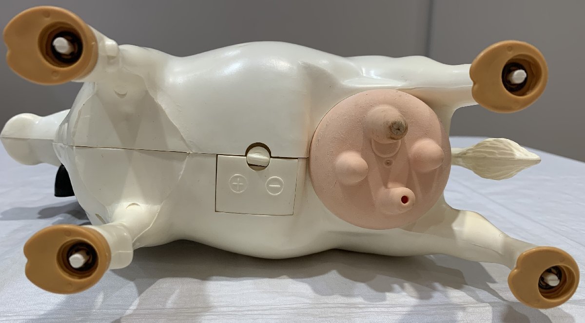 8UY豊07003D】☆1円スタート☆ミルクモウモウ☆ミルクしぼり体験☆牧場