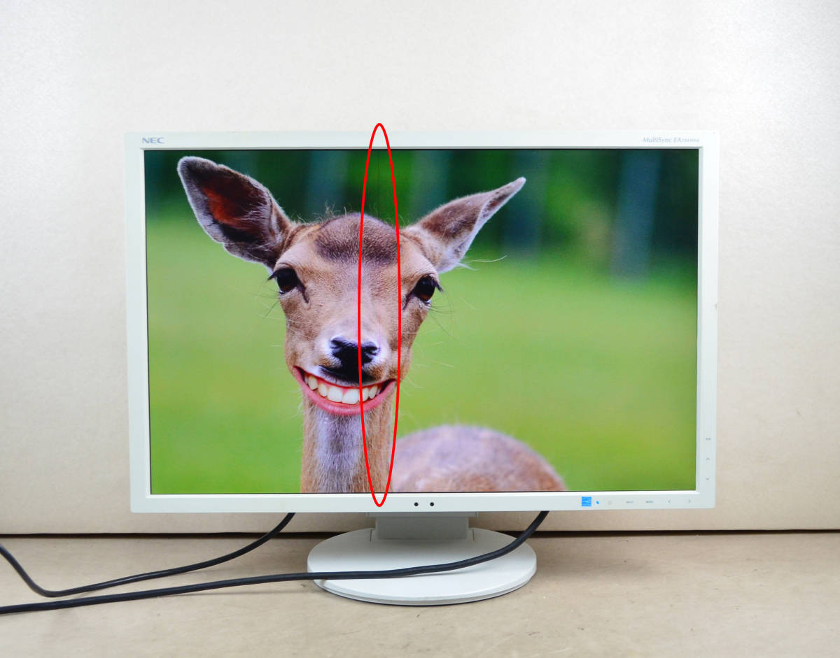 3482　NEC　24.1型ワイド　EA244WMi　WUXGA 1920x1200　ゲーミング　HDMI/DP　スピーカー内蔵　回転・縦型表示　IPS　LED　ディスプレイ