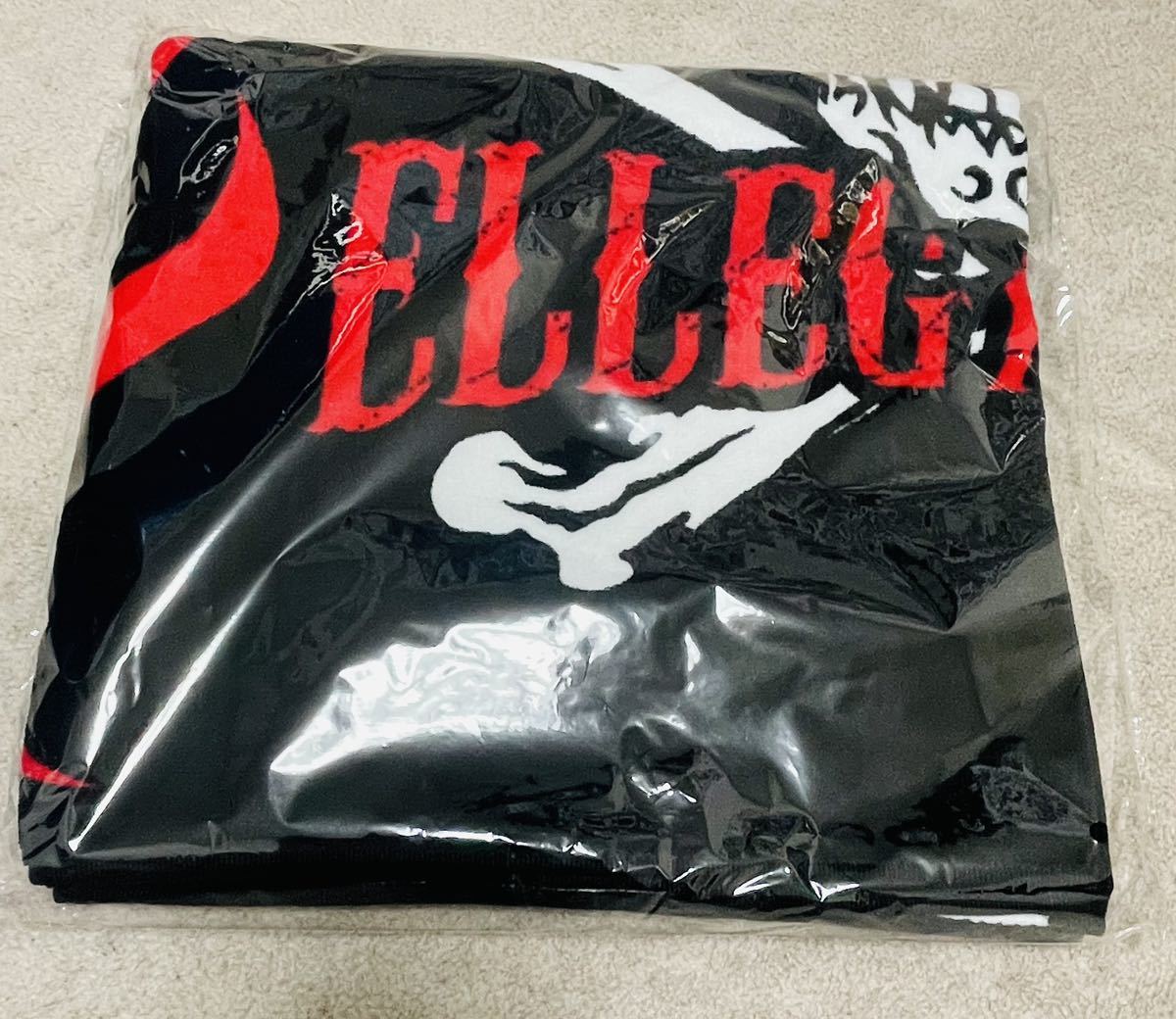 未使用！ELLEGARDEN Get it Get it Go! SUMMER PARTY 2023 バスタオル