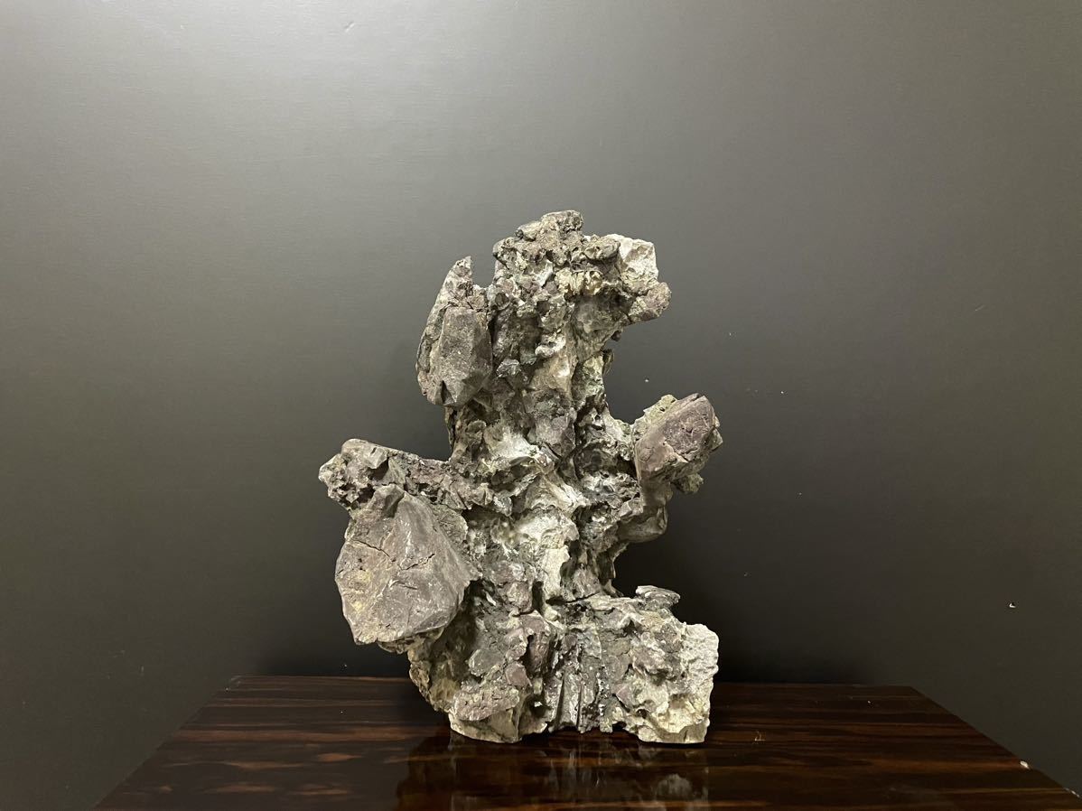 6.6kg 竜眼石 龍岩石 龍眼石 リュウガンセキ 水石 自然石 盆栽石 鑑賞