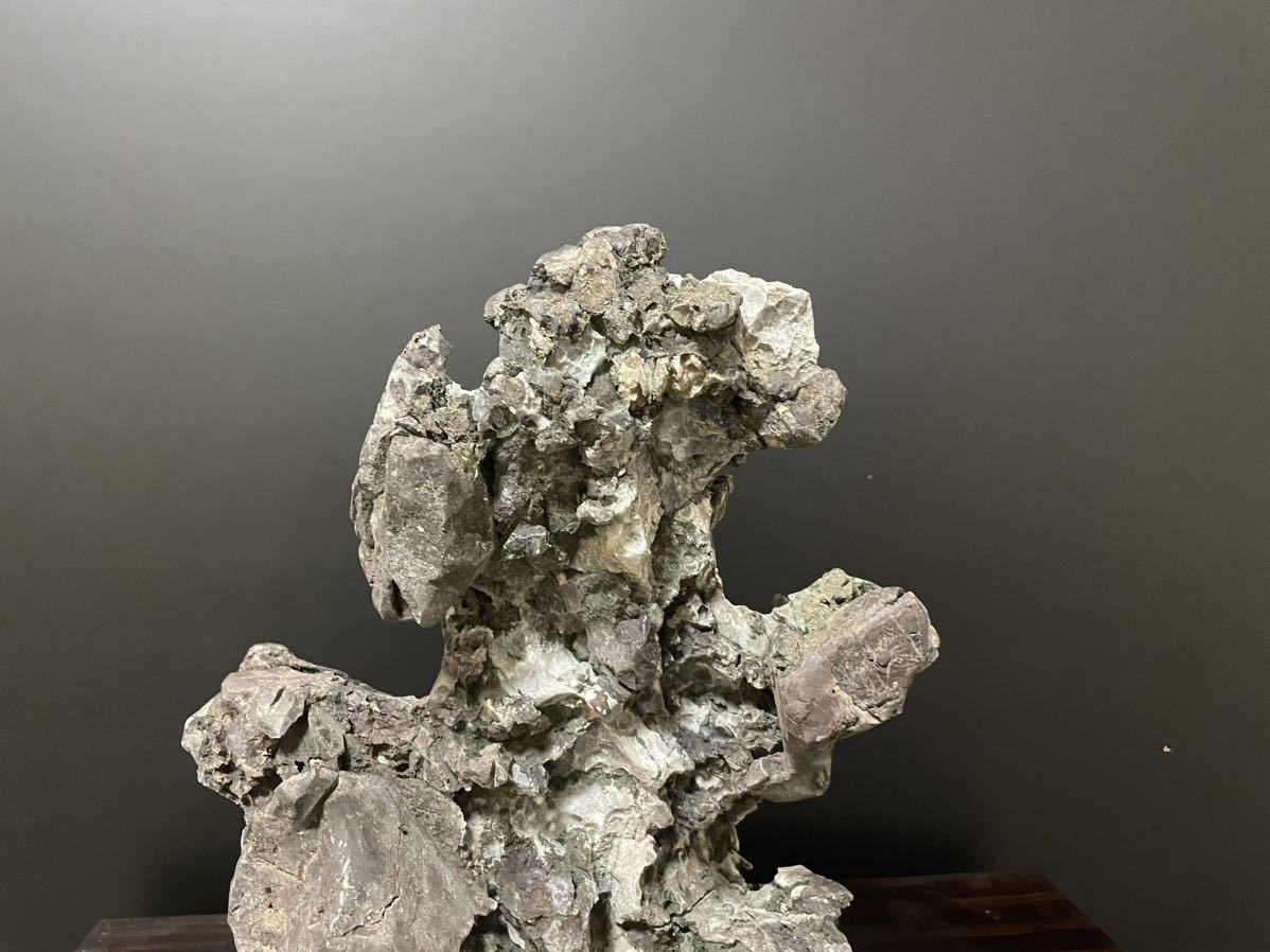 6.6kg 竜眼石 龍岩石 龍眼石 リュウガンセキ 水石 自然石 盆栽石 鑑賞