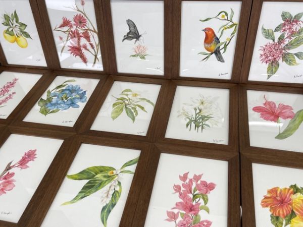 展示品 額 絵 花 植物 アゲハ蝶 フレーム ウォールナット材？ インテリア 20点セット 作者不明 インテリア モデルルーム ステージング/3500