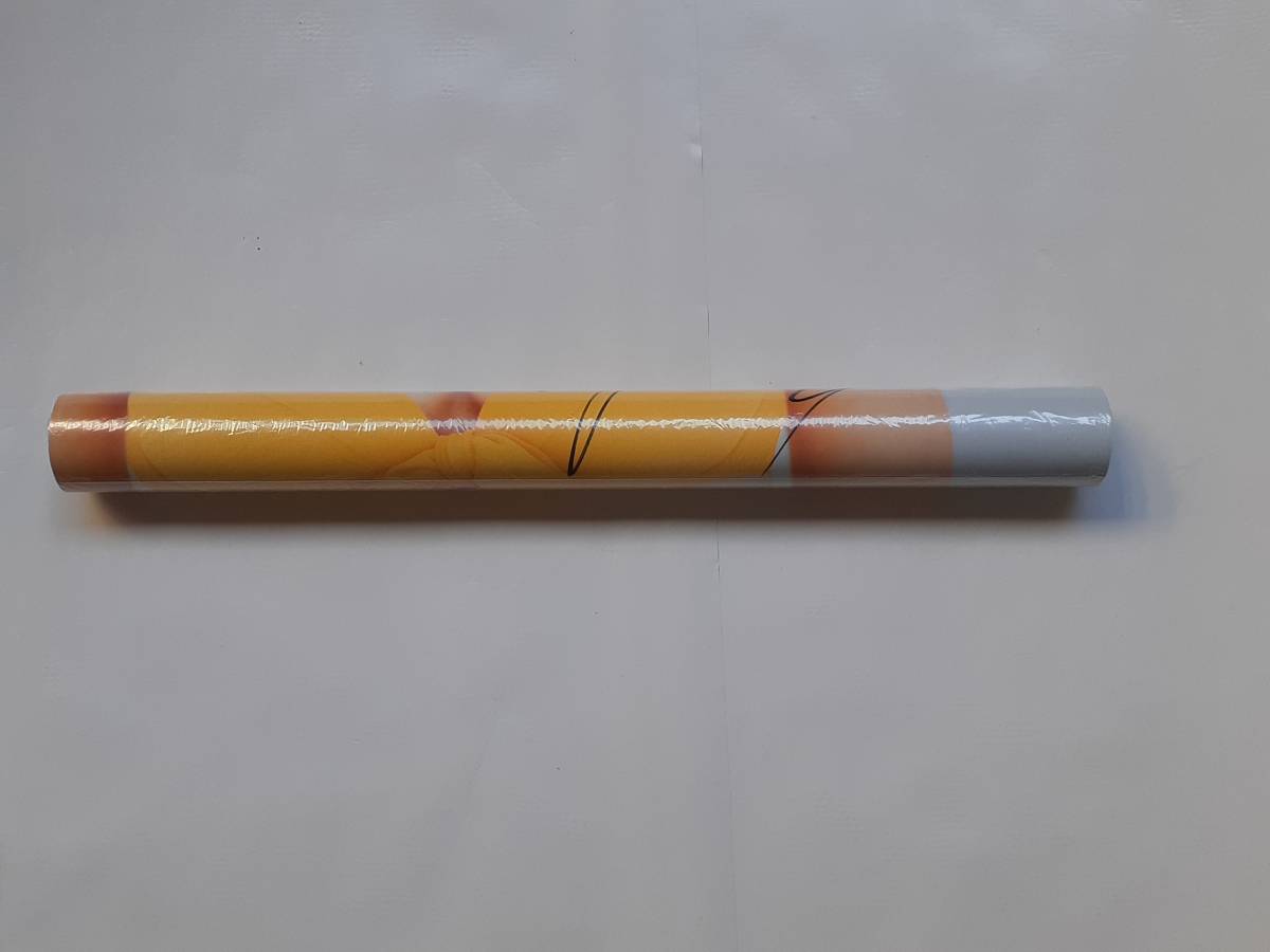 山本梓 2004年 直筆サイン入り カレンダー B2 開封済の入札履歴 - 入札
