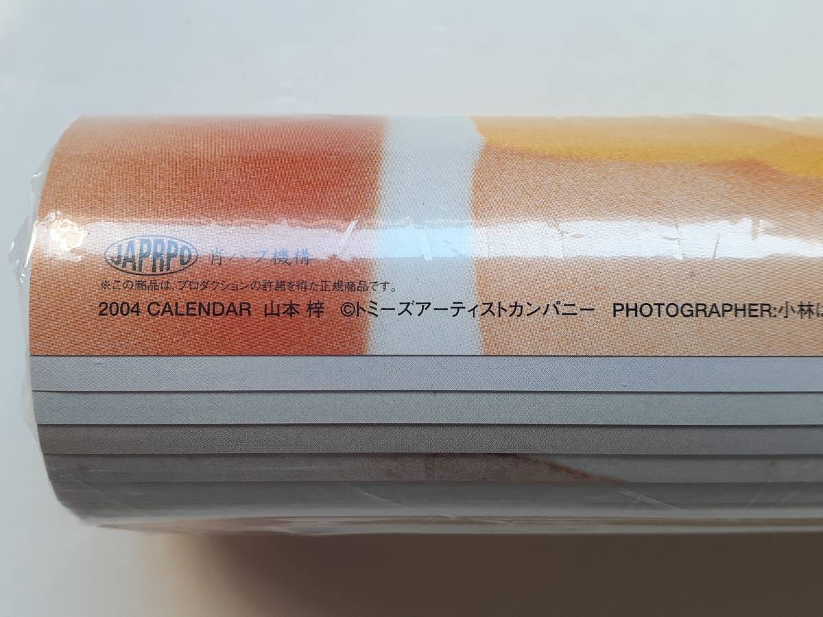 山本梓 2004年 直筆サイン入り カレンダー B2 開封済の入札履歴 - 入札