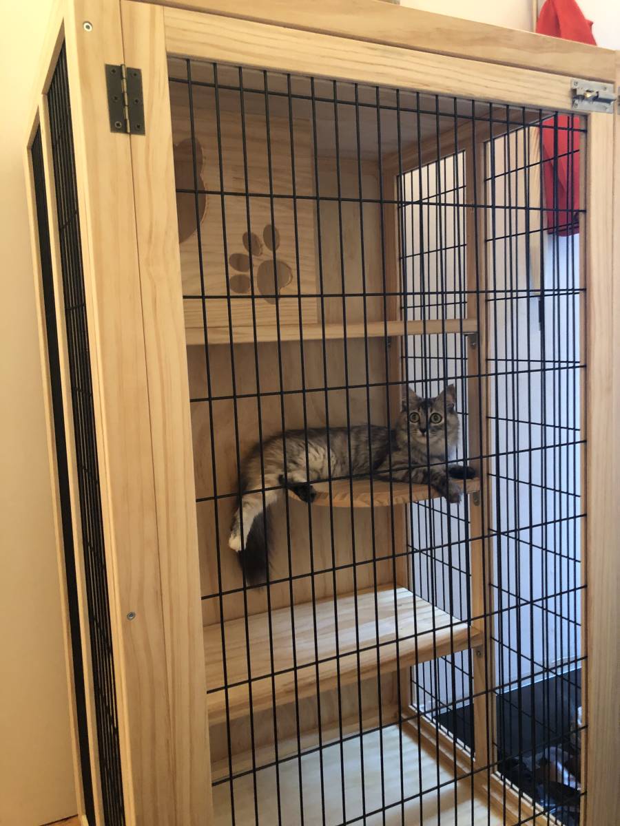 木製キャットケージ 引取り限定！