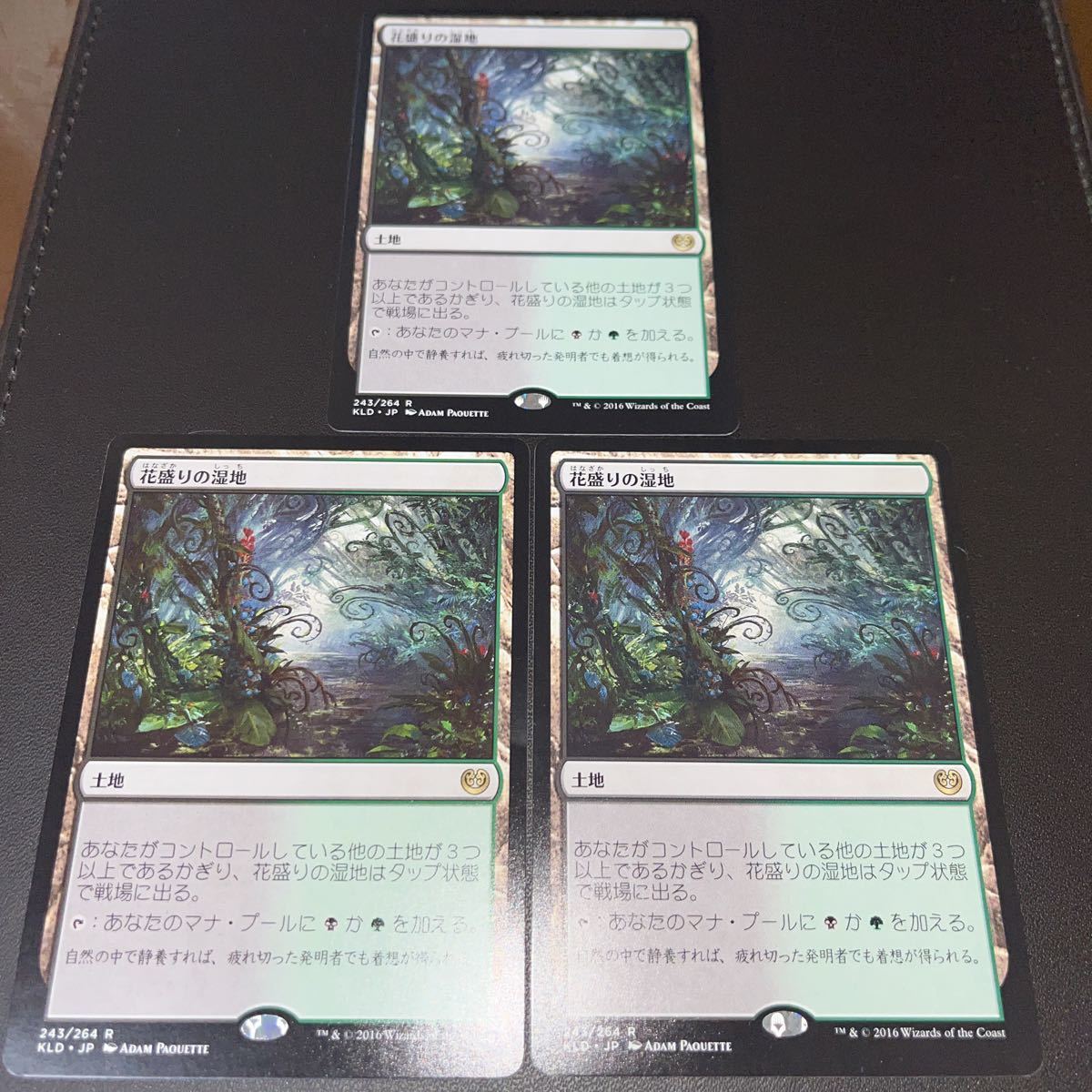 MTG 花盛りの湿地 foil 4枚secret lair ドクターフー MTG 花盛りの湿地 foil 4枚secret lair ドクターフー MTG 花盛りの湿地