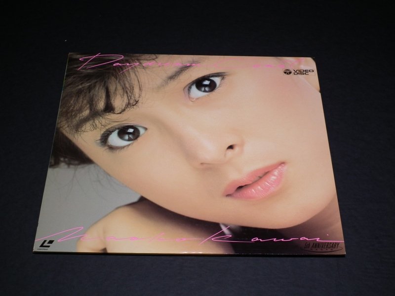 LD 河合奈保子 レーザーディスク １０枚セット E230【ジャンク品】LD レーザーディスク 河合奈保子 8点 まとめて