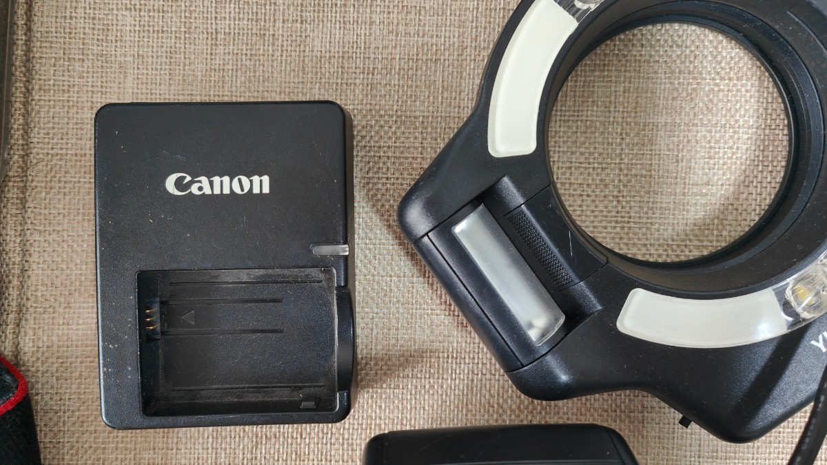 ジャンク」キャノン 500d(kiss x3) /EF 18-55mm 1:3.5_5.6 IS / 50mm