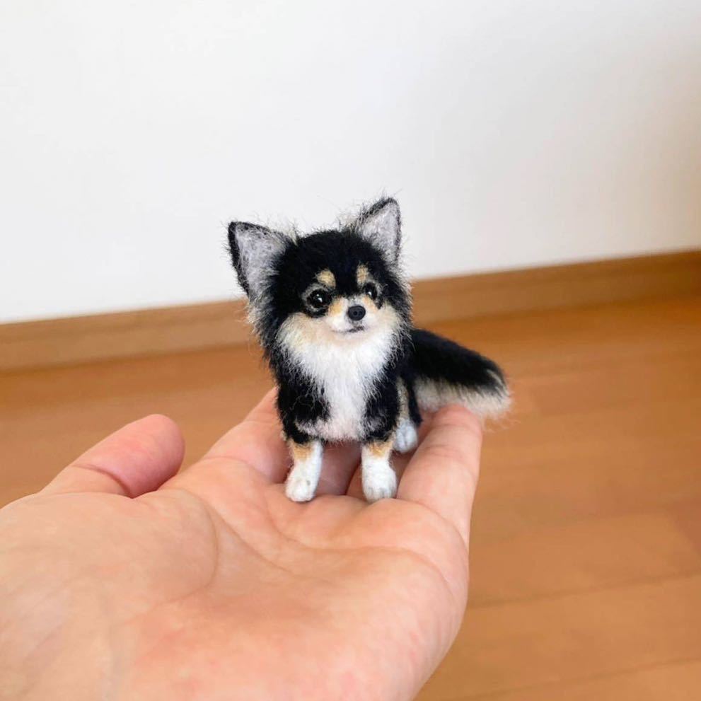 ぴのきち☆6.3cmのブラックタンチワワちゃん☆羊毛フェルト 犬 チワワ