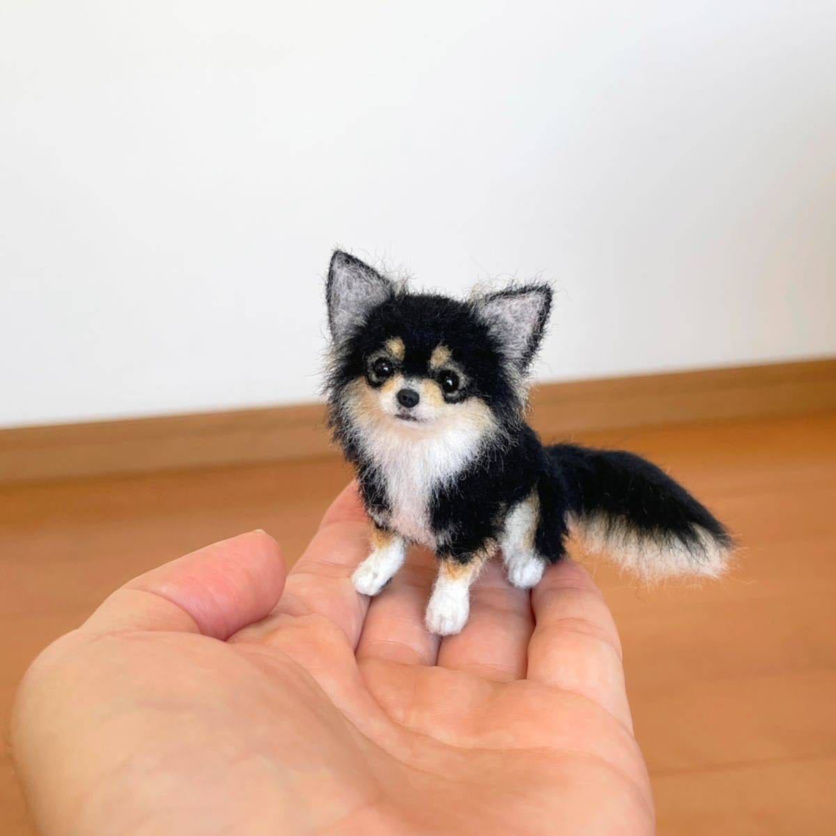 ぴのきち☆6.3cmのブラックタンチワワちゃん☆羊毛フェルト 犬 チワワ