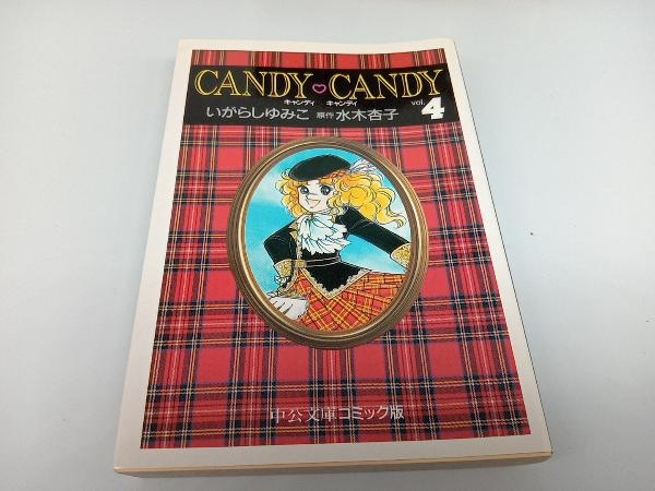 キャンディ キャンディ 文庫本 全6巻セット（キャンディ・キャンディ 