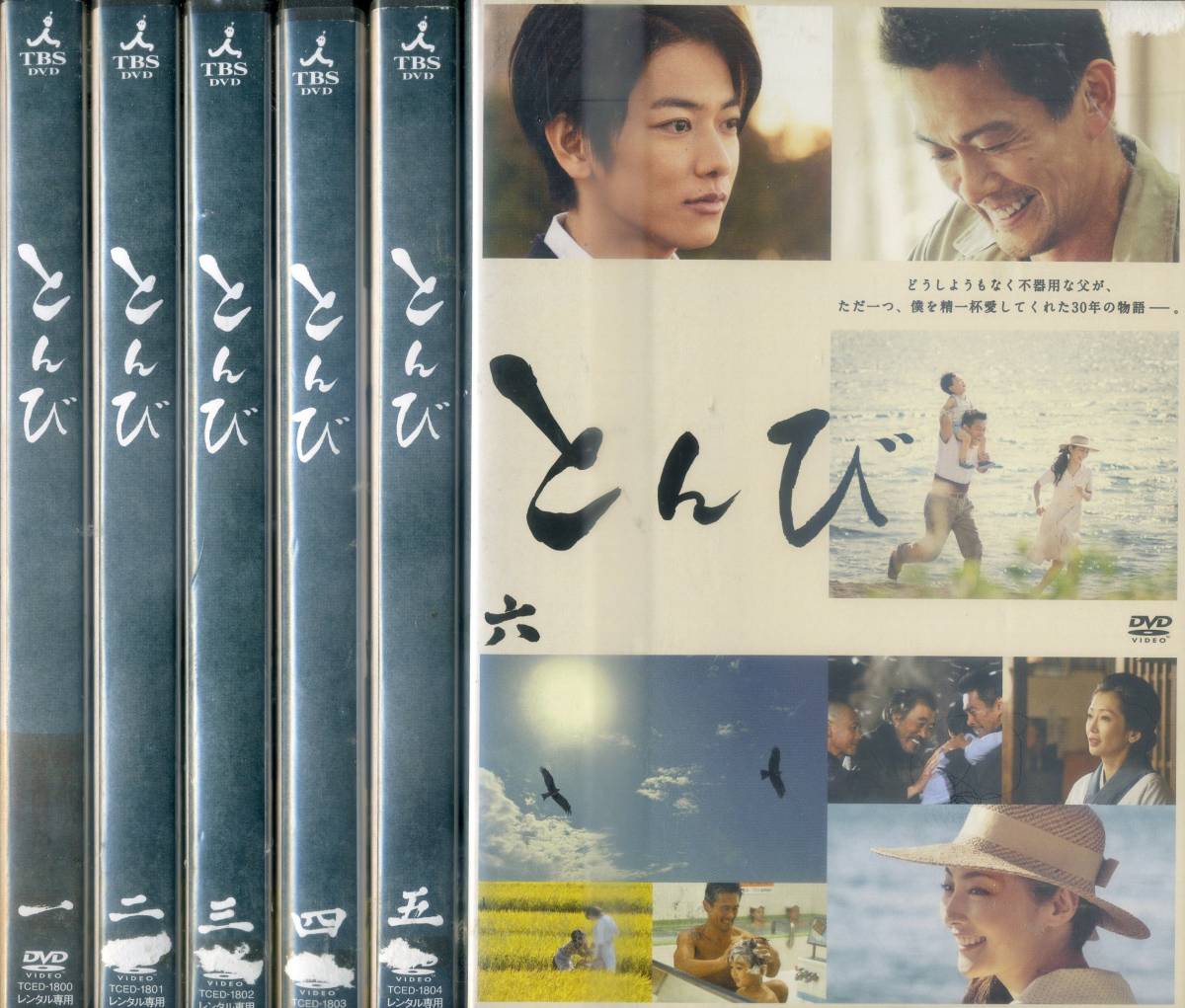 とんび 全6巻 ～佐藤健 常盤貴子 内野聖陽