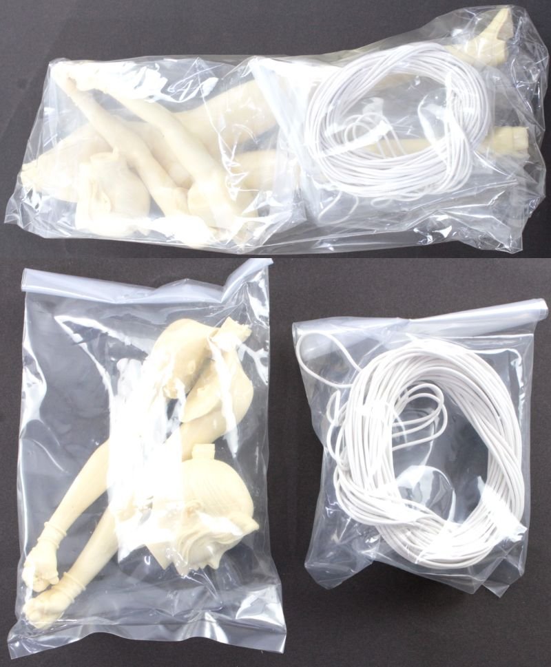 ○【中古・ジャンク品】バーチャファイター サラ レジンキット 1/6