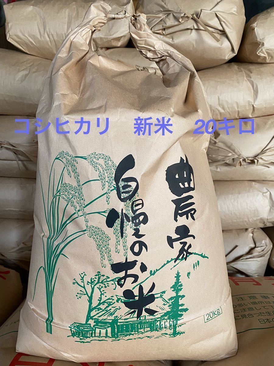 令和5年(2023年)収穫 新米コシヒカリ20キロ 精米済み白米 三重県産 20