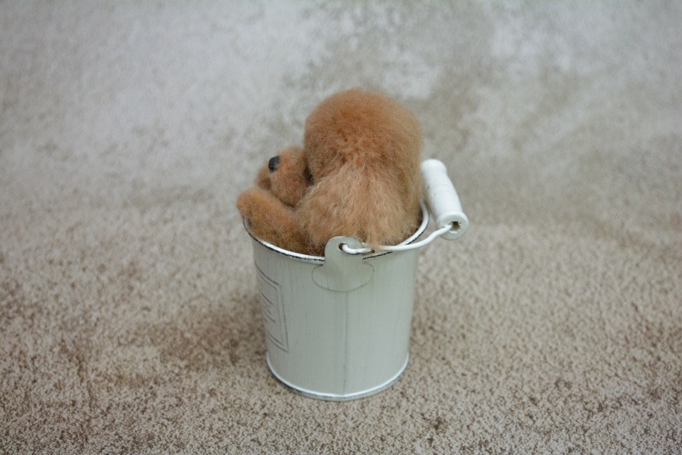 羊毛フェルト ハンドメイド 犬【トイプードル】ぬいぐるみ NE-NE 羊毛フェルト トイプードル 犬 ぬいぐるみ ハンドメイド