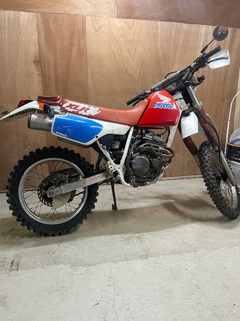 XLR250R 実動車体 HONDA ホンダ オフロード 旧車 マフラー社外 ☆静岡  