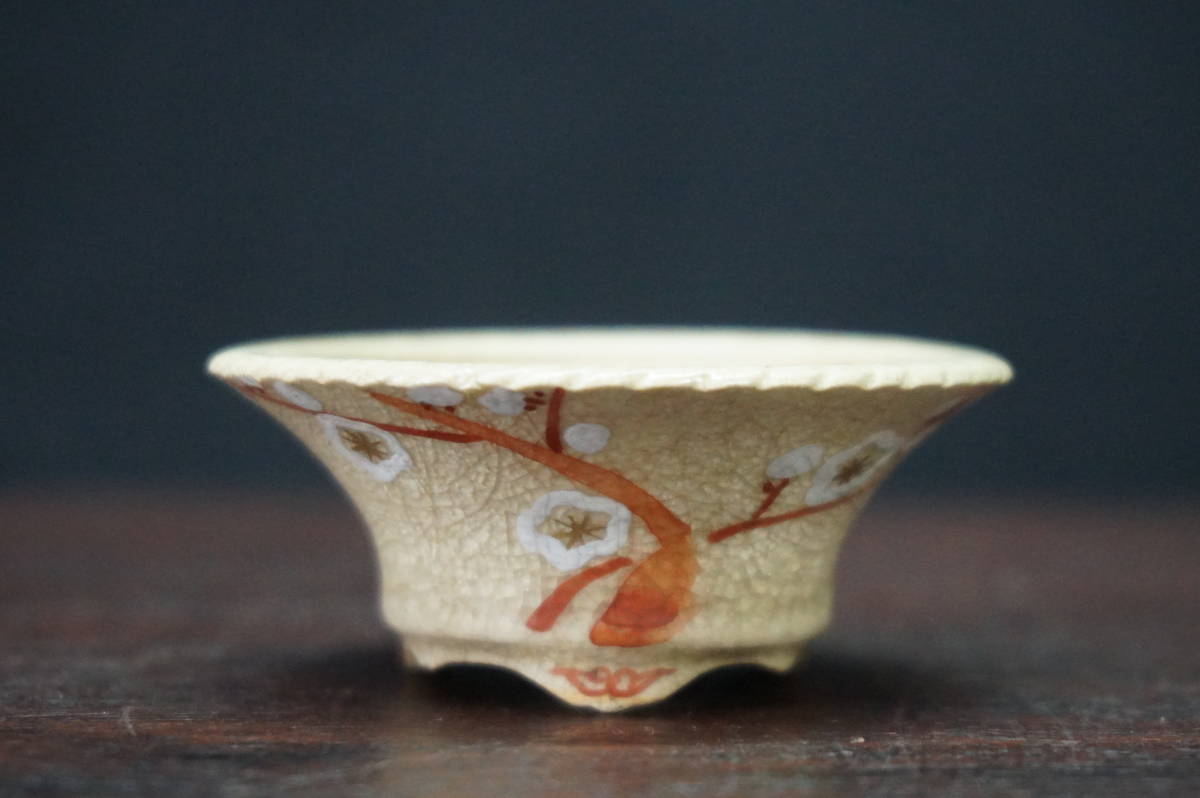 ★盆栽日和★　和鉢 【光峰】釉薬外縁色絵丸鉢　5.7㎝　