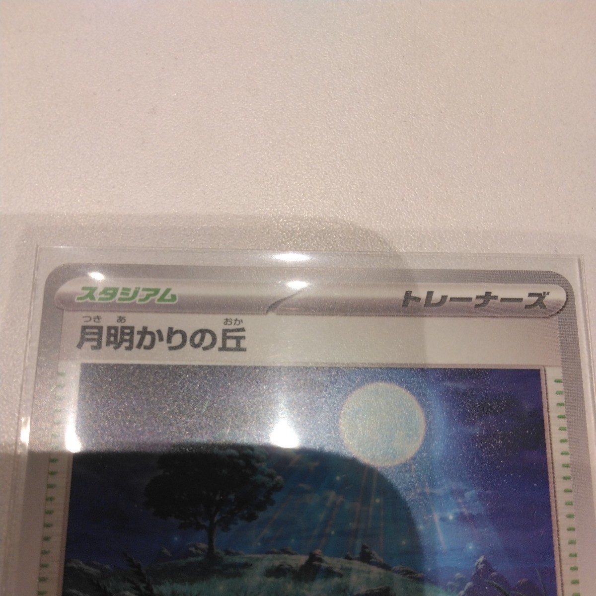 ポケモン カード ゲーム スカーレット＆バイオレット プロモカード 